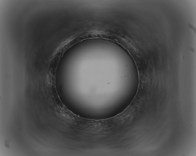 X0000093591207200710151157