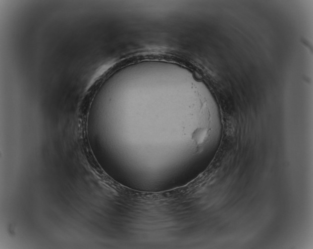 X0000093591208200710151157