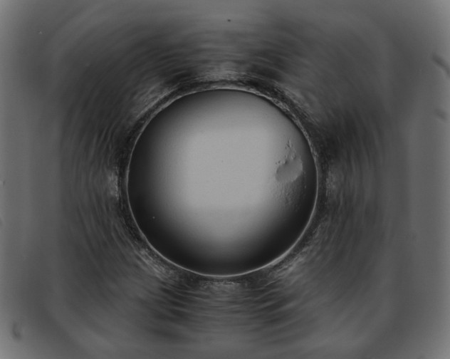 X0000093591209200710151157