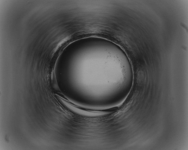 X0000093591210200710151157