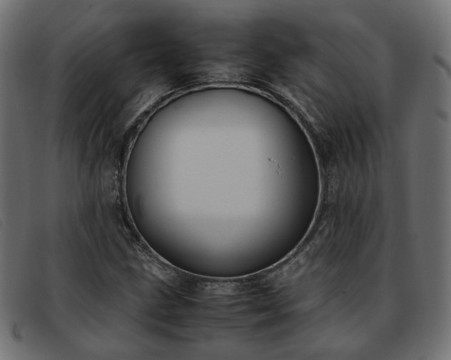 X0000093591211200710151157