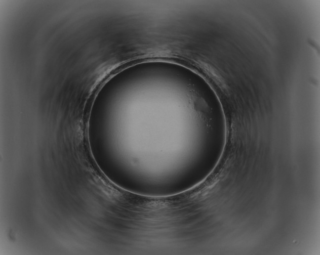 X0000093591212200710151157