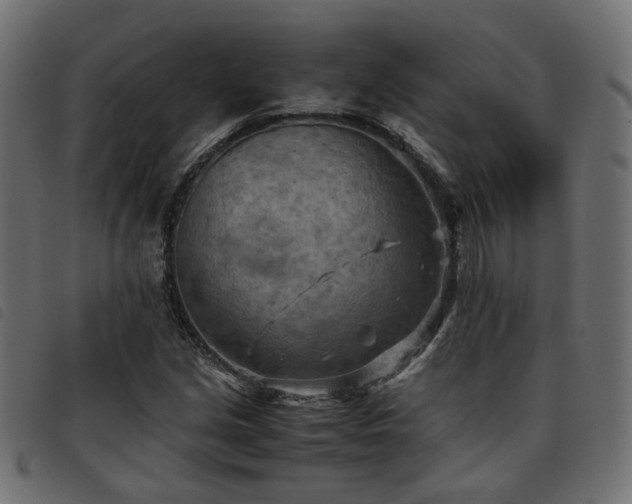 X0000093591213200710151157