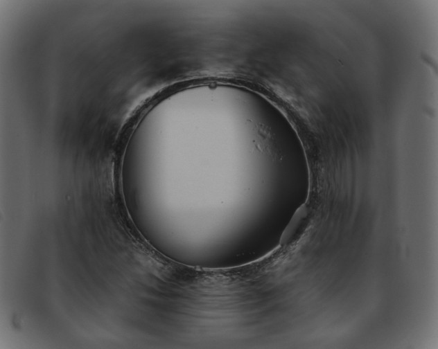 X0000093591214200710151157