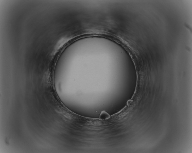 X0000093591215200710151157