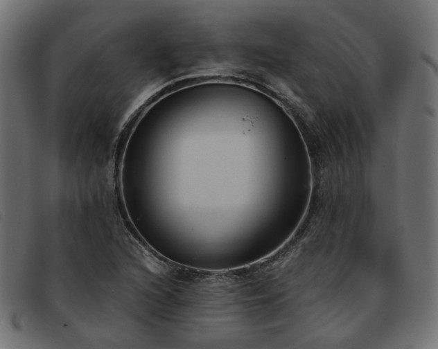X0000093591216200710151157