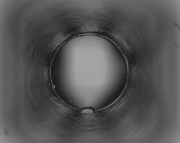 X0000093591217200710151157