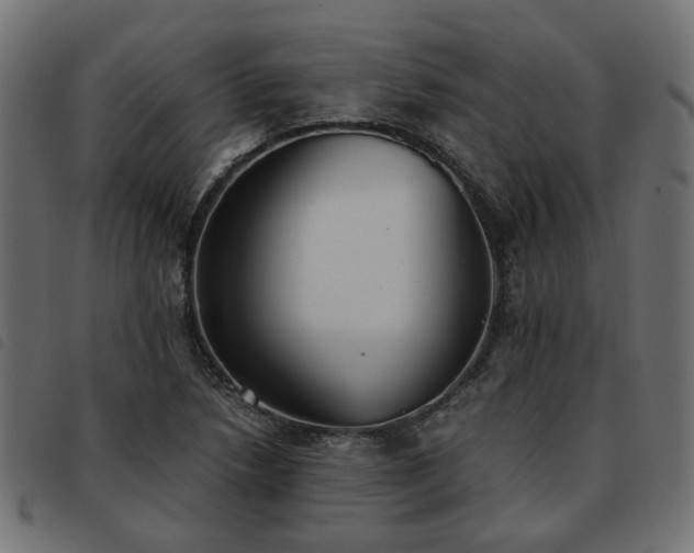X0000093591218200710151157