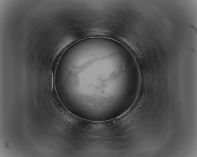 X0000093591219200710151157