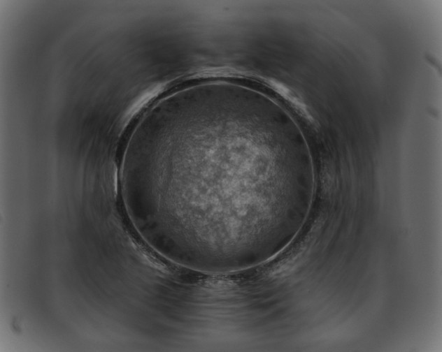X0000093591221200710151157