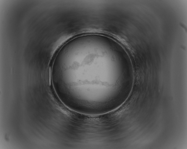 X0000093591223200710151157