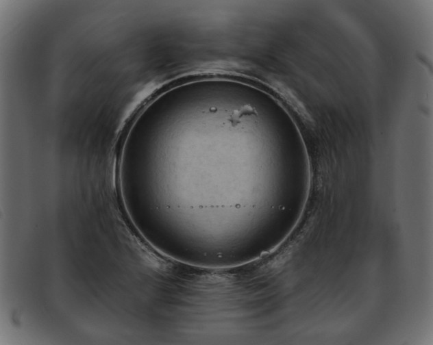 X0000093591224200710151157