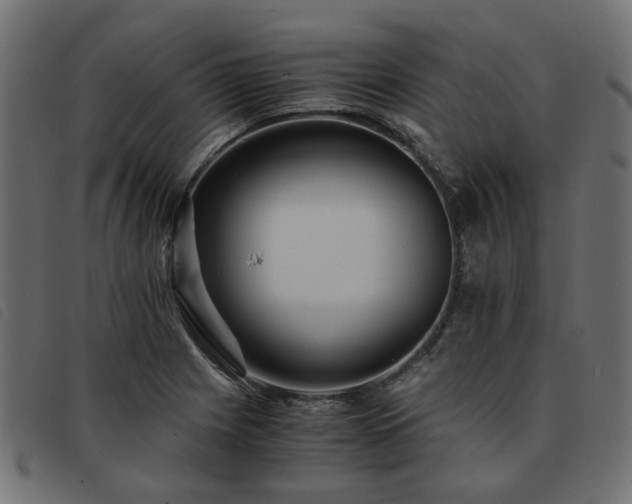 X0000093591225200710151157