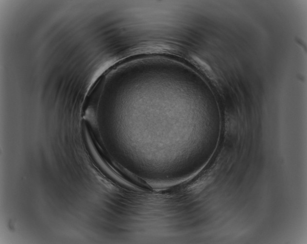 X0000093591226200710151157