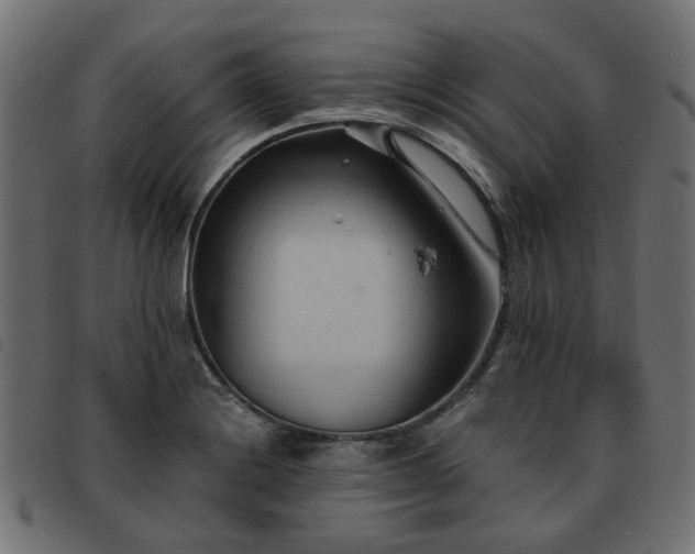 X0000093591228200710151158