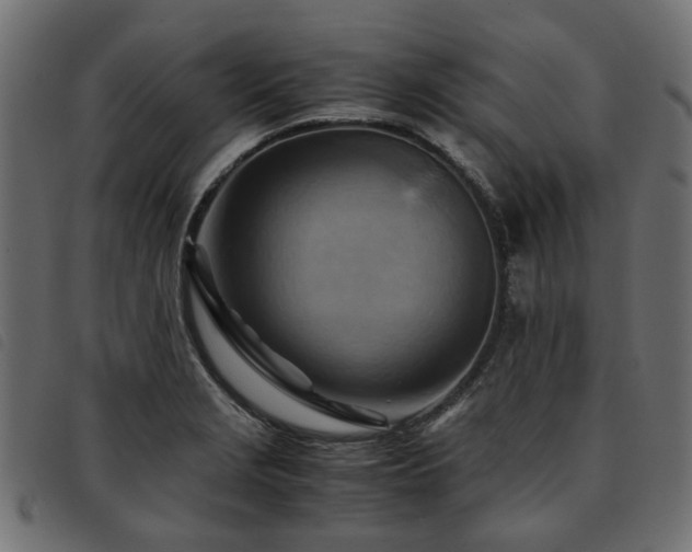 X0000093591229200710151158