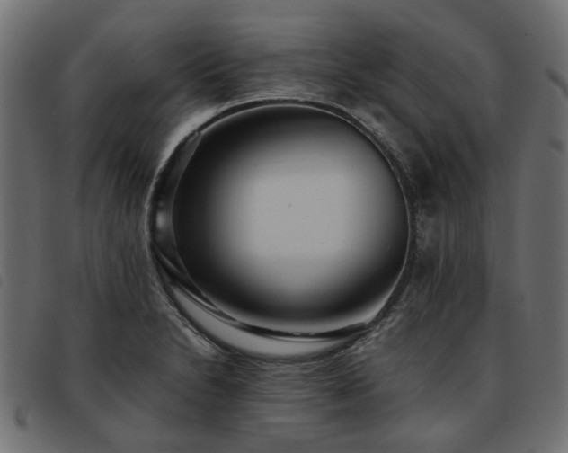 X0000093591230200710151158