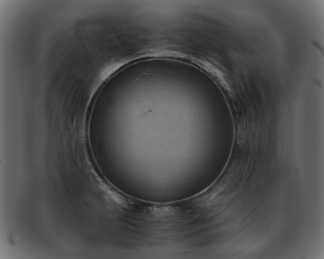 X0000093591231200710151158