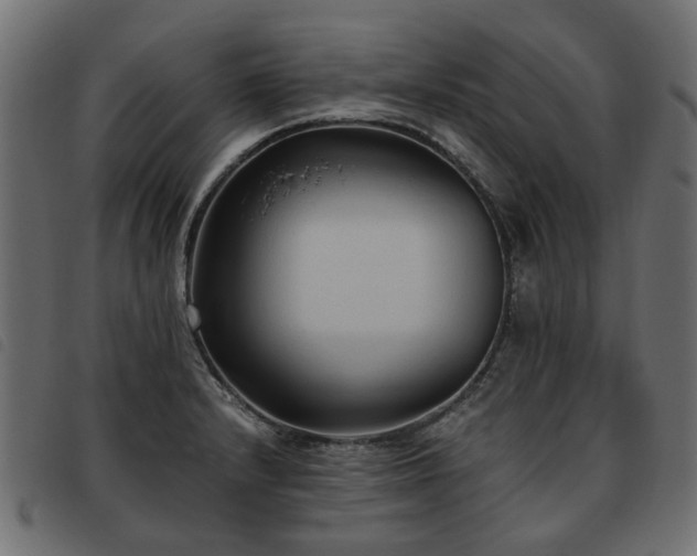 X0000093591232200710151158