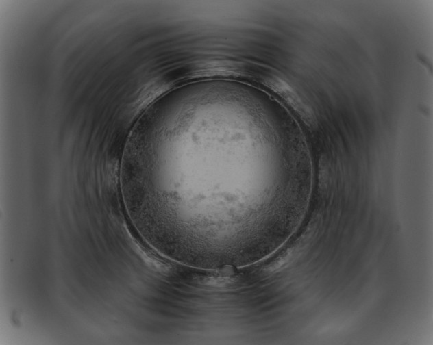 X0000093591233200710151158
