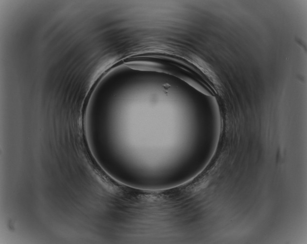 X0000093591234200710151158