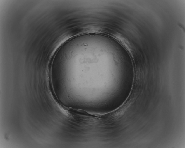 X0000093591235200710151158