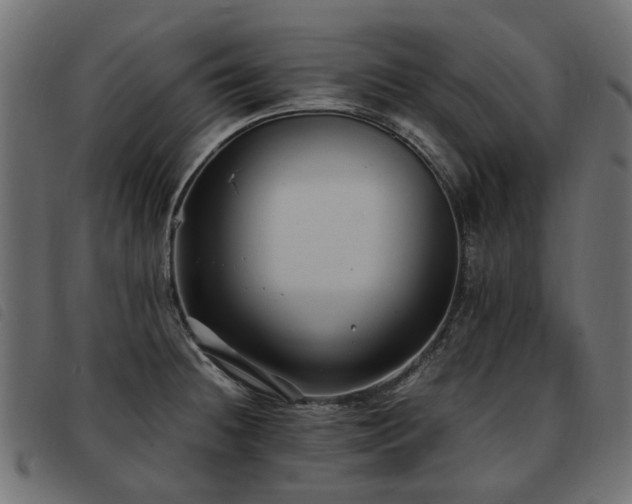 X0000093591236200710151158