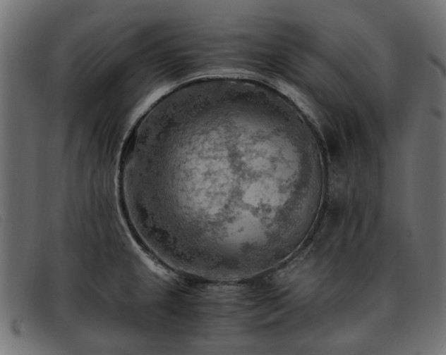 X0000093591237200710151158