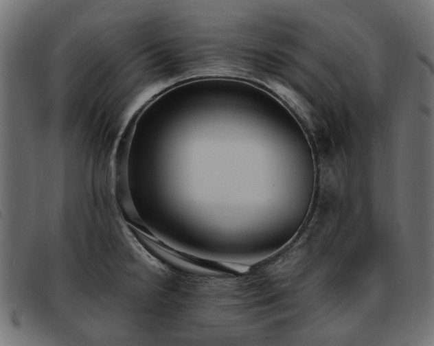 X0000093591238200710151158