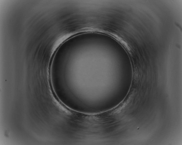 X0000093591239200710151158