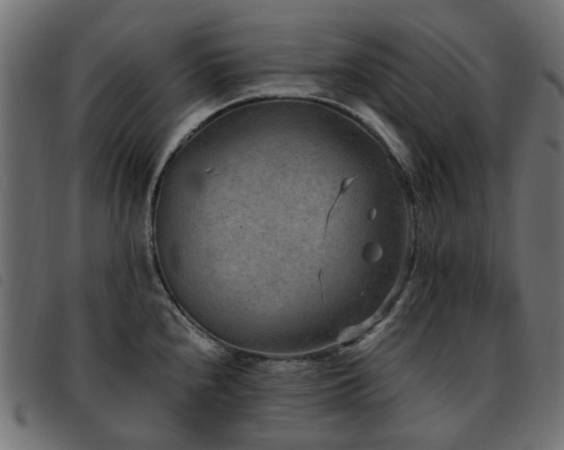X0000093591240200710151158