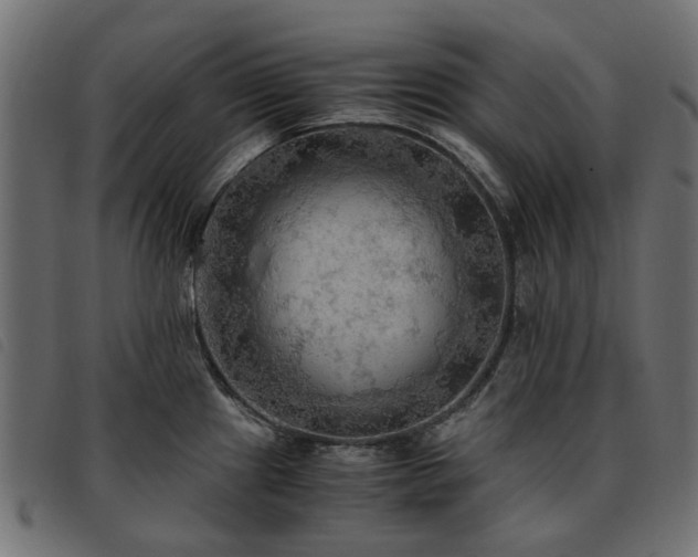 X0000093591241200710151158