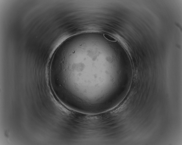 X0000093591243200710151158