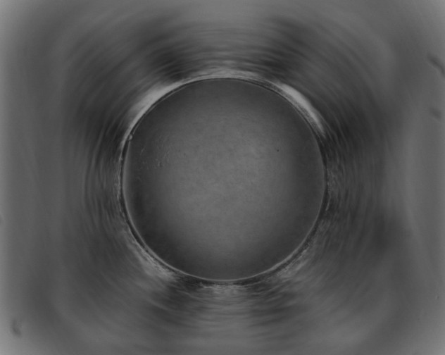 X0000093591244200710151158