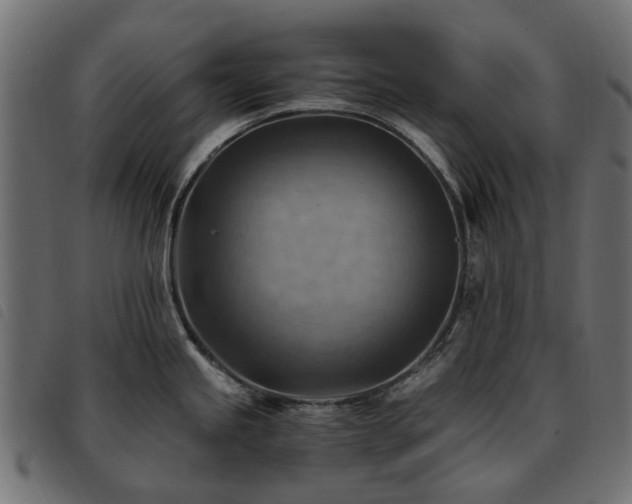 X0000093591245200710151158