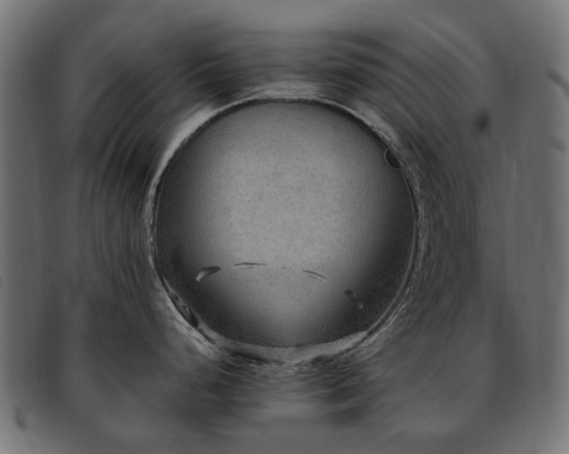 X0000093591248200710151158
