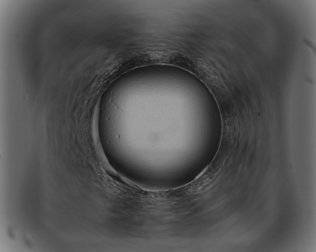X0000093591249200710151157