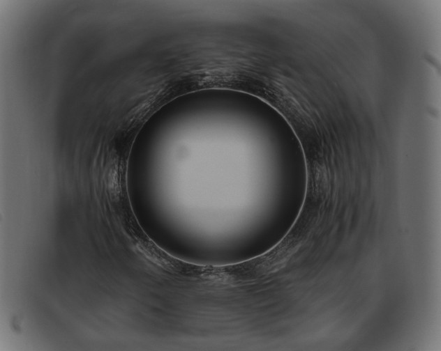 X0000093591250200710151157