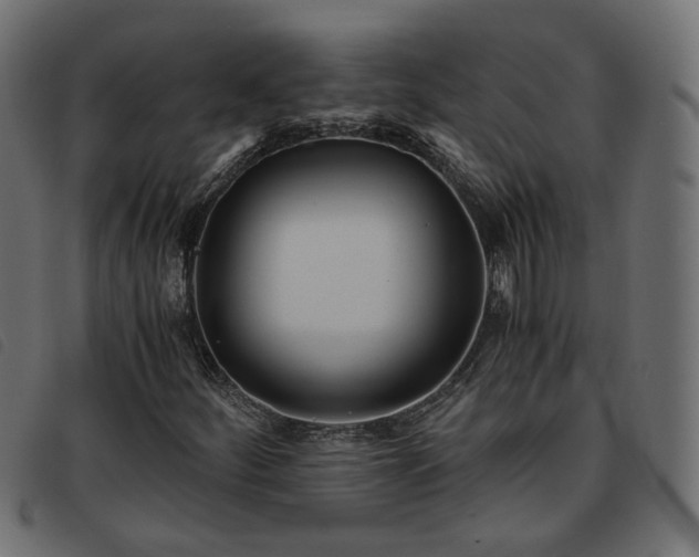 X0000093591252200710151157