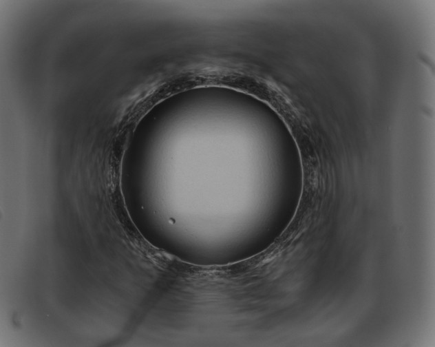 X0000093591253200710151157