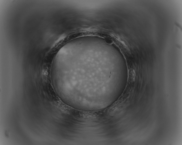 X0000093591254200710151157