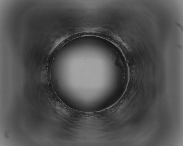 X0000093591256200710151157