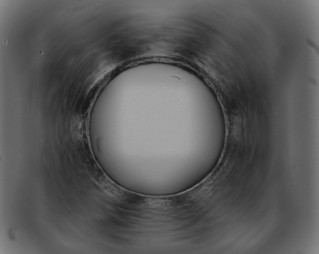 X0000093591258200710151157