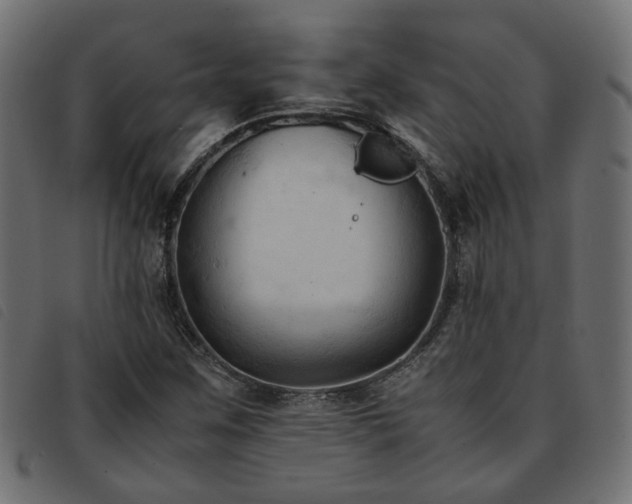 X0000093591259200710151157