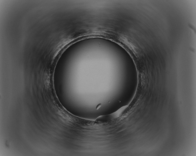X0000093591260200710151157