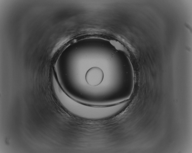 X0000093591261200710151157