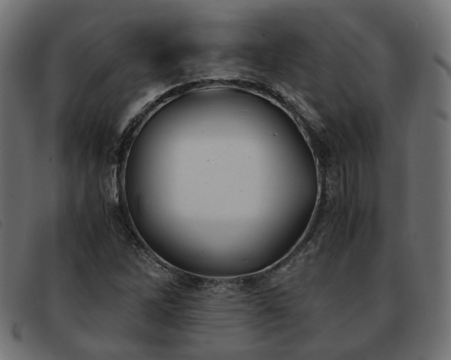 X0000093591262200710151157