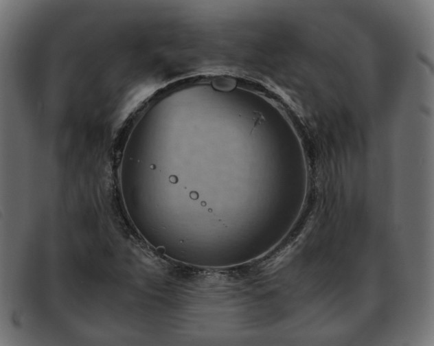 X0000093591263200710151157