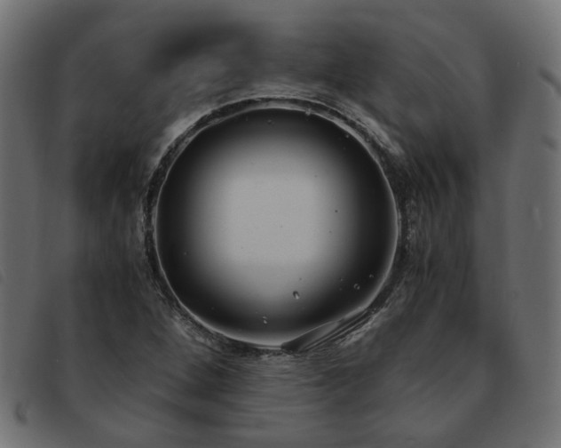 X0000093591264200710151157