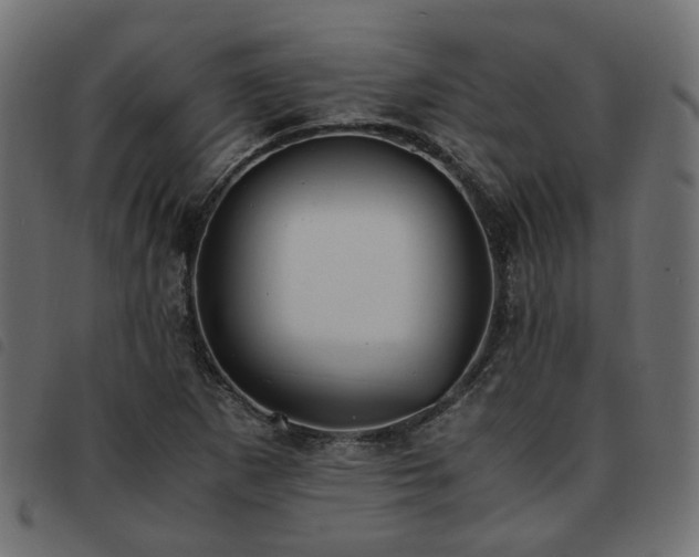 X0000093591265200710151157